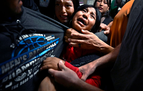 Победители World Press Photo 2026 Победители World Press Photo 2026