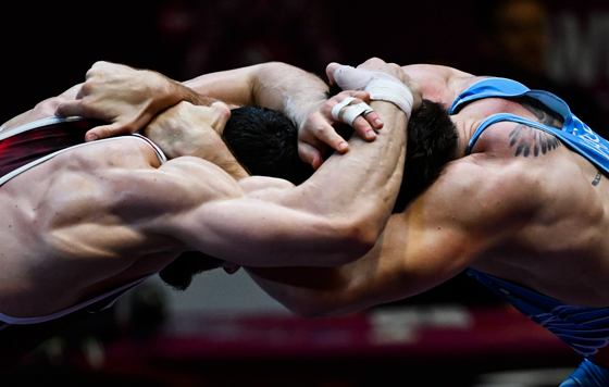 Лучшие фото недели Лучшие фото недели