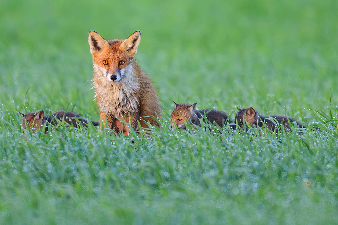 ������ � ���������� ��� �������������