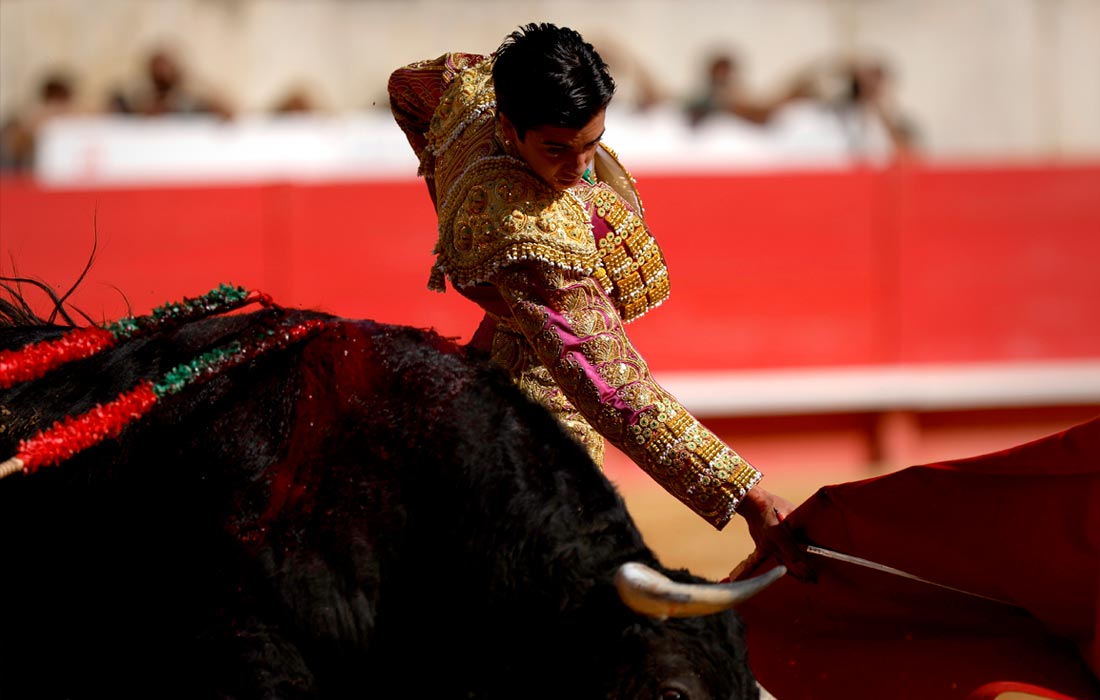 Коррида в рамках фестиваля Feria des Vendanges во французском Ниме