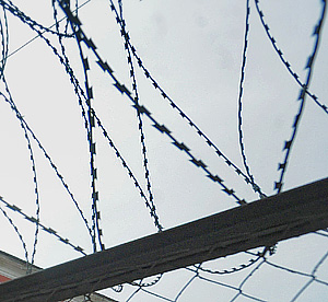 "�������� ���������" ��������� � ������