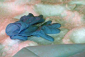 ������������ ����������