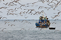 ������ �� ����, ������� ����������