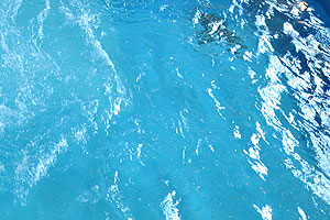 ������ � ���������