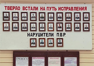 Колония на ножах Колония на ножах