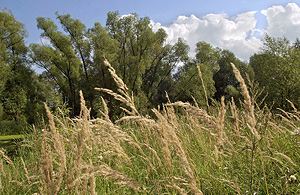 Подмосковье для жизни, бизнеса и туризма Подмосковье для жизни, бизнеса и туризма
