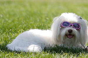 ��������� ����������� ���� �� ������