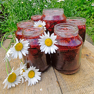 5 ����� �������� �������� ������