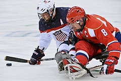Cборная России повторила рекорд Паралимпиад по количеству медалей