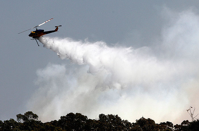 Жара в Австралии приблизилась к 45 градусам по Цельсию Жара в Австралии приблизилась к 45 градусам по Цельсию