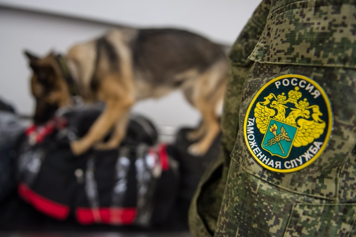 ФТС предложила взять на себя проверку качества и безопасности импорта в РФ ФТС предложила взять на себя проверку качества и безопасности импорта в РФ