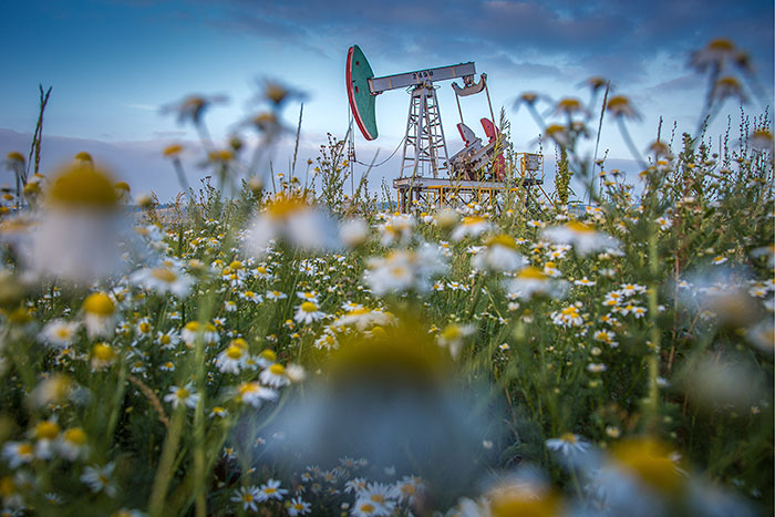 Нефтяники попросили Путина не повышать налоги на отрасль Нефтяники попросили Путина не повышать налоги на отрасль