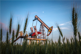 МЭА сообщило об усилении борьбы за нефтяной рынок Европы между РФ и Ближним Востоком