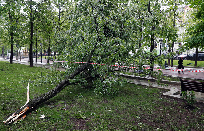 Шесть человек стали жертвами урагана в Москве Шесть человек стали жертвами урагана в Москве