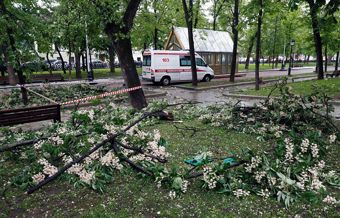 Два человека погибли в результате падения деревьев в Москве Два человека погибли в результате падения деревьев в Москве