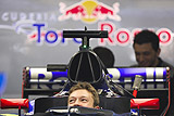    Toro Rosso  - 