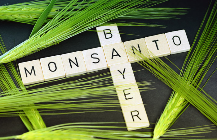 ФАС выдвинула условия согласования рекордной сделки между Bayer и Monsanto ФАС выдвинула условия согласования рекордной сделки между Bayer и Monsanto