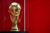Кубок Чемпионата мира по футболу доставлен в Россию