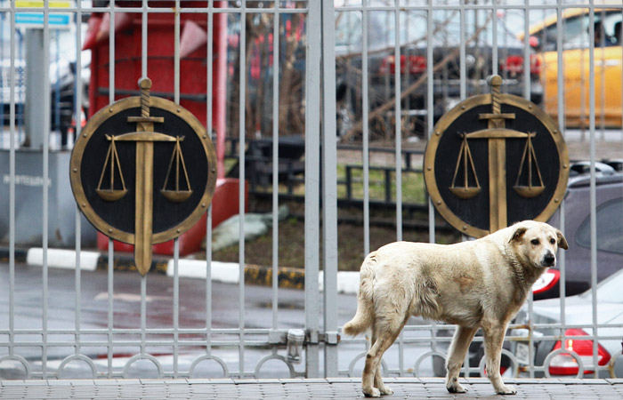 Мосгорсуд получил три десятка исков по выборам в Мосгордуму Мосгорсуд получил три десятка исков по выборам в Мосгордуму