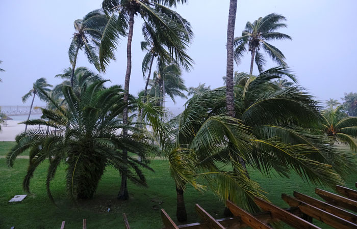 ������, ������ ������� ����� �������� �������