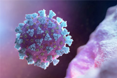 � ���������������� �������, ��� ������ �� ����������� ������ ������ �� ����������� �����