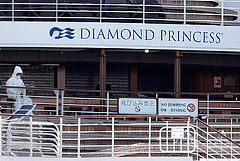 � ������ �������� ������������� �������, ������������ COVID-19 �� Diamond Princess