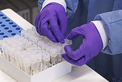 Лукашенко сообщил о первой смерти пациента с коронавирусом в Белоруссии