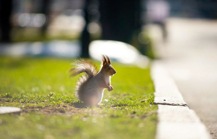 ���� � ������ �������� ������ �� ����� �� ��� ������� ����������