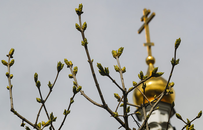 Патриарх Кирилл запретил в священнослужении протодиакона Кураева Патриарх Кирилл запретил в священнослужении протодиакона Кураева