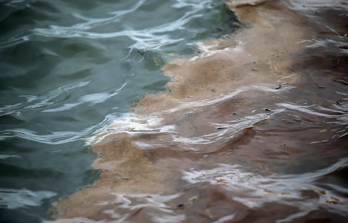 Росрыболовство оценило в 10 лет срок восстановления водоемов после аварии в Норильске Росрыболовство оценило в 10 лет срок восстановления водоемов после аварии в Норильске