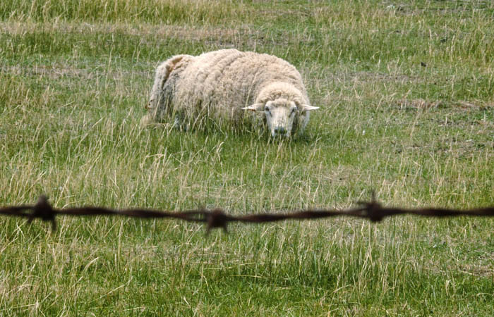 ���������������� �������� �������� �������� � ��������� ������� �� ��� 2021 ����