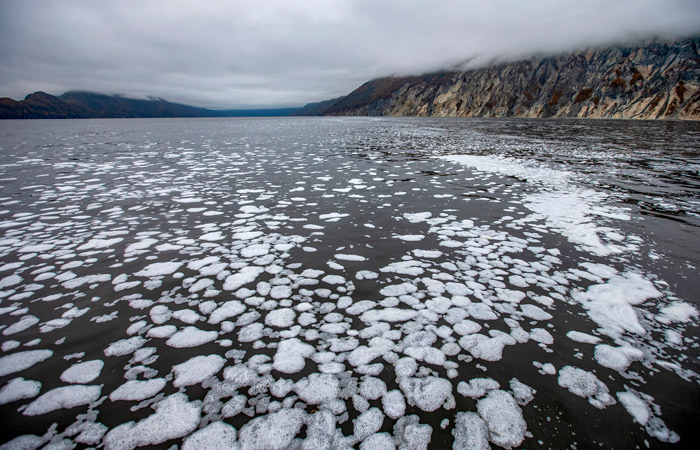 � ����� ����������� ����������� ������