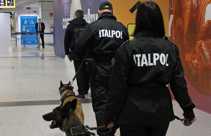 Собаки будут выявлять COVID у людей по запаху в римском аэропорту Собаки будут выявлять COVID у людей по запаху в римском аэропорту