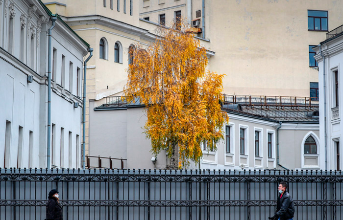 Осень в Москве начнется с температуры ниже климатической нормы Осень в Москве начнется с температуры ниже климатической нормы