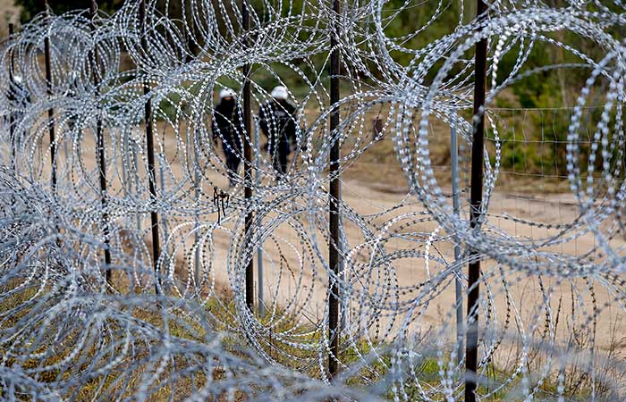 Украина из-за нелегалов начала спецоперацию на границе с Белоруссией Украина из-за нелегалов начала спецоперацию на границе с Белоруссией