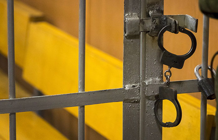Марии Алехиной грозит 15 суток за пропаганду нацистской символики Марии Алехиной грозит 15 суток за пропаганду нацистской символики