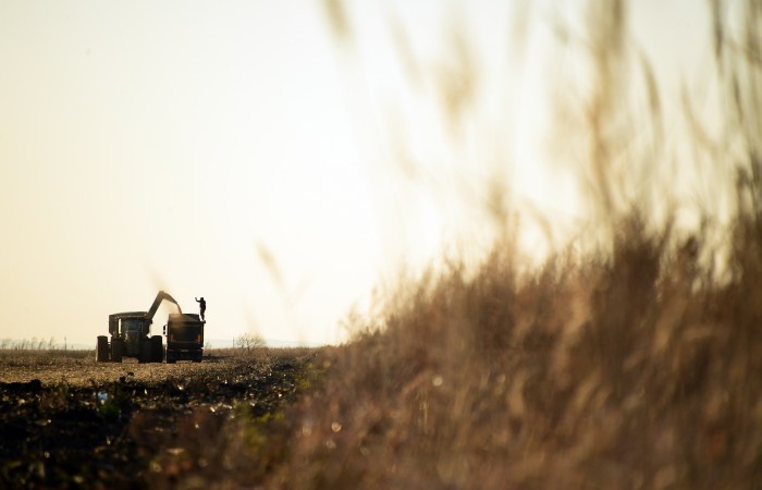 �� ��������� ��������� ��������� ������� �������������� � �� �������� 12 ���� ���.