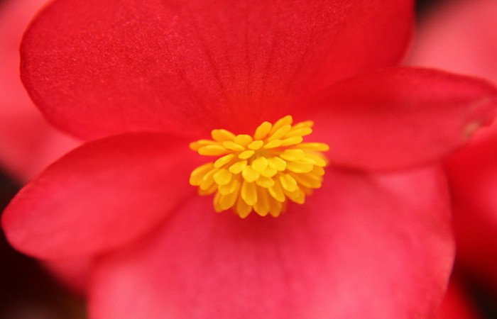 ��� ��������� � ���� �����. �������� ��������