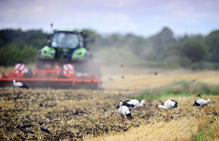 ������� �� ��������� � ���������� ���� � ����� ��������. �����