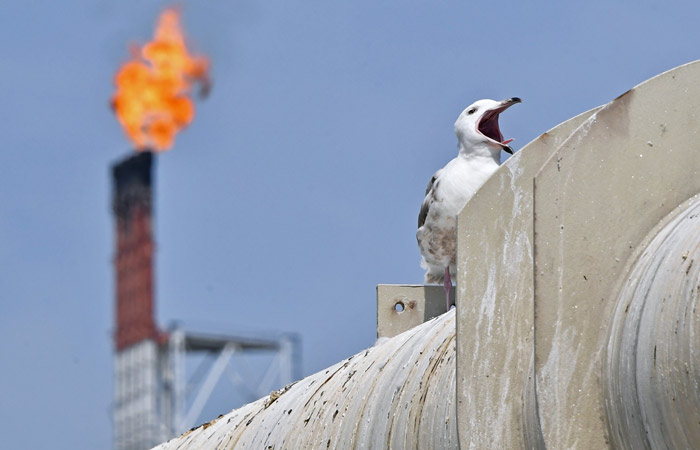 Exxon ������� ������ �� ������������ ������ �� "��������-1" � $3,4 ����