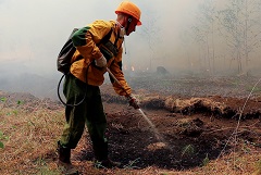 В России горят 60 тыс. гектаров леса