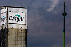 Минсельхоз отреагировал на планы прекращения экспорта зерна из РФ компанией Cargill