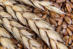 Лавров заявил, что "зерновая сделка" не работает