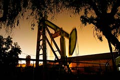 ОПЕК+ сокращает добычу нефти на 2024 год. Обобщение