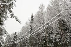 � �������� ������� ������������ ���������������� ��� 75 ���. ������������