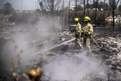 В лесных пожарах в Израиле выгорели более 2 тысяч гектаров В лесных пожарах в Израиле выгорели более 2 тысяч гектаров