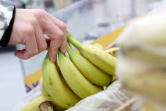 В России в перечень сельскохозяйственной продукции включили бананы В России в перечень сельскохозяйственной продукции включили бананы
