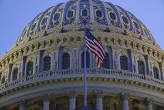 Трамп рассматривает проведение законопроекта по санкциям против РФ через Конгресс Трамп рассматривает проведение законопроекта по санкциям против РФ через Конгресс