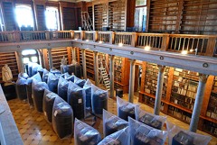 Старейшая библиотека Венгрии может лишиться сотни тысяч книг из-за жуков Старейшая библиотека Венгрии может лишиться сотни тысяч книг из-за жуков