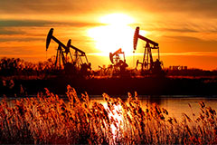ОПЕК сохранила прогноз роста спроса на нефть в 2025 году и повысила на 2026 г. ОПЕК сохранила прогноз роста спроса на нефть в 2025 году и повысила на 2026 г.